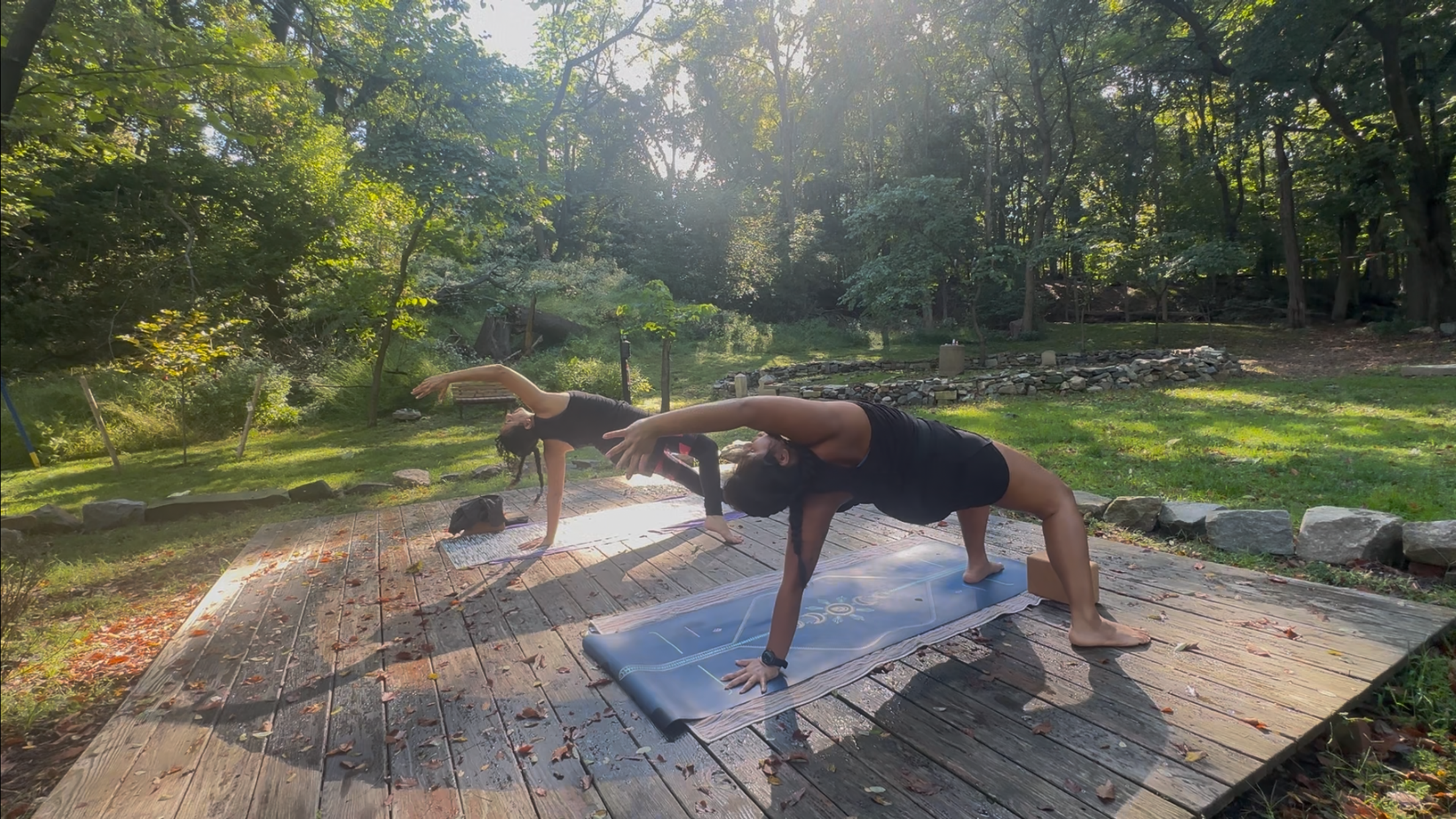 Asana & Vinyasa
